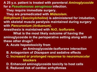 A 25 y.o. patient is treated with parenteral  Aminoglycoside   for a  Pseudomonas aeruginosa   infection.  They require immediate surgery.  They are premedicated with  Midazolam .  Dithylinum   ( Succinylcholine ) is administered for intubation, with skeletal muscle paralysis maintained during surgery with  Pancuronium (Arduanum) .  Anesthesia is maintained with  N 2 O ,   Isoflurane .   What is the most likely outcome of having the aminoglycoside in the perioperative setting along with all these other drugs?  A. Acute hepatotoxicity from  an Aminoglycoside-Isoflurane interaction B. Antagonism of  Diazepam  and sedative effects C.  Increased or prolonged response to neuromuscular  blockers  D. Enhanced aminoglycoside toxicity to host cells E. Reduced risk of cardiac arrhythmias   