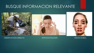 BUSQUE INFORMACION RELEVANTE
OBSERVACION DIRECTA SINTOMATOLOGÍA VISION DOBLE