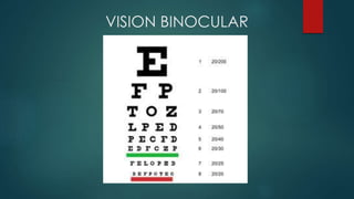 VISION BINOCULAR