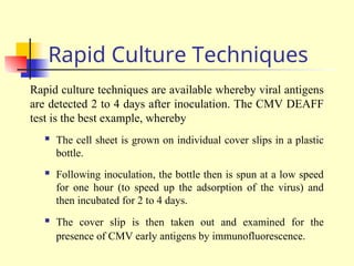 Rapid Culture Techniques
Rapid culture techniques are available whereby viral antigens
are detected 2 to 4 days after inoculation. The CMV DEAFF
test is the best example, whereby
 The cell sheet is grown on individual cover slips in a plastic
bottle.
 Following inoculation, the bottle then is spun at a low speed
for one hour (to speed up the adsorption of the virus) and
then incubated for 2 to 4 days.
 The cover slip is then taken out and examined for the
presence of CMV early antigens by immunofluorescence.
 
