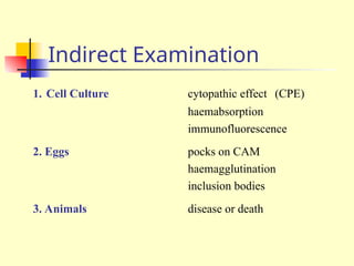 Indirect Examination
1. Cell Culture cytopathic effect (CPE)
haemabsorption
immunofluorescence
2. Eggs pocks on CAM
haemagglutination
inclusion bodies
3. Animals disease or death
 