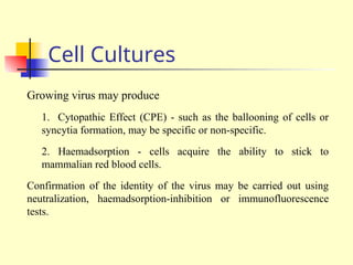 Cell Cultures
Growing virus may produce
1. Cytopathic Effect (CPE) - such as the ballooning of cells or
syncytia formation, may be specific or non-specific.
2. Haemadsorption - cells acquire the ability to stick to
mammalian red blood cells.
Confirmation of the identity of the virus may be carried out using
neutralization, haemadsorption-inhibition or immunofluorescence
tests.
 