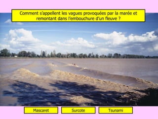 Comment s’appellent les vagues provoquées par la marée et remontant dans l’embouchure d’un fleuve ? Mascaret Surcote Tsunami 