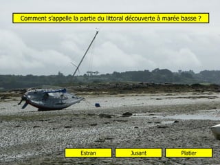 Comment s’appelle la partie du littoral découverte à marée basse ? Estran Jusant Platier 