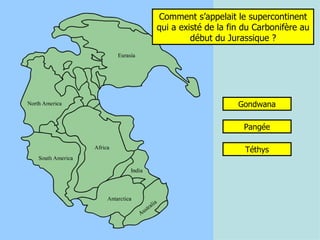 Comment s’appelait le supercontinent qui a existé de la fin du Carbonifère au début du Jurassique ? Pangée Gondwana Téthys 