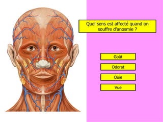 Quel sens est affecté quand on souffre d’anosmie ? Goût Odorat Ouïe Vue 