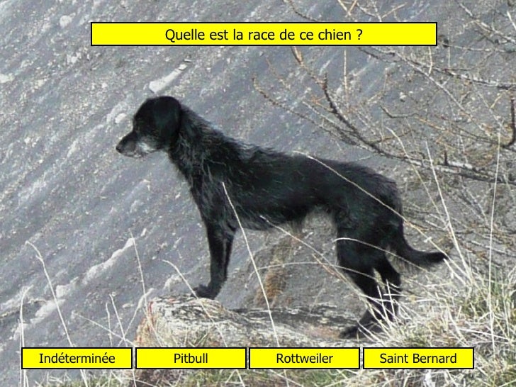 Test De Connaissances Mathématiques