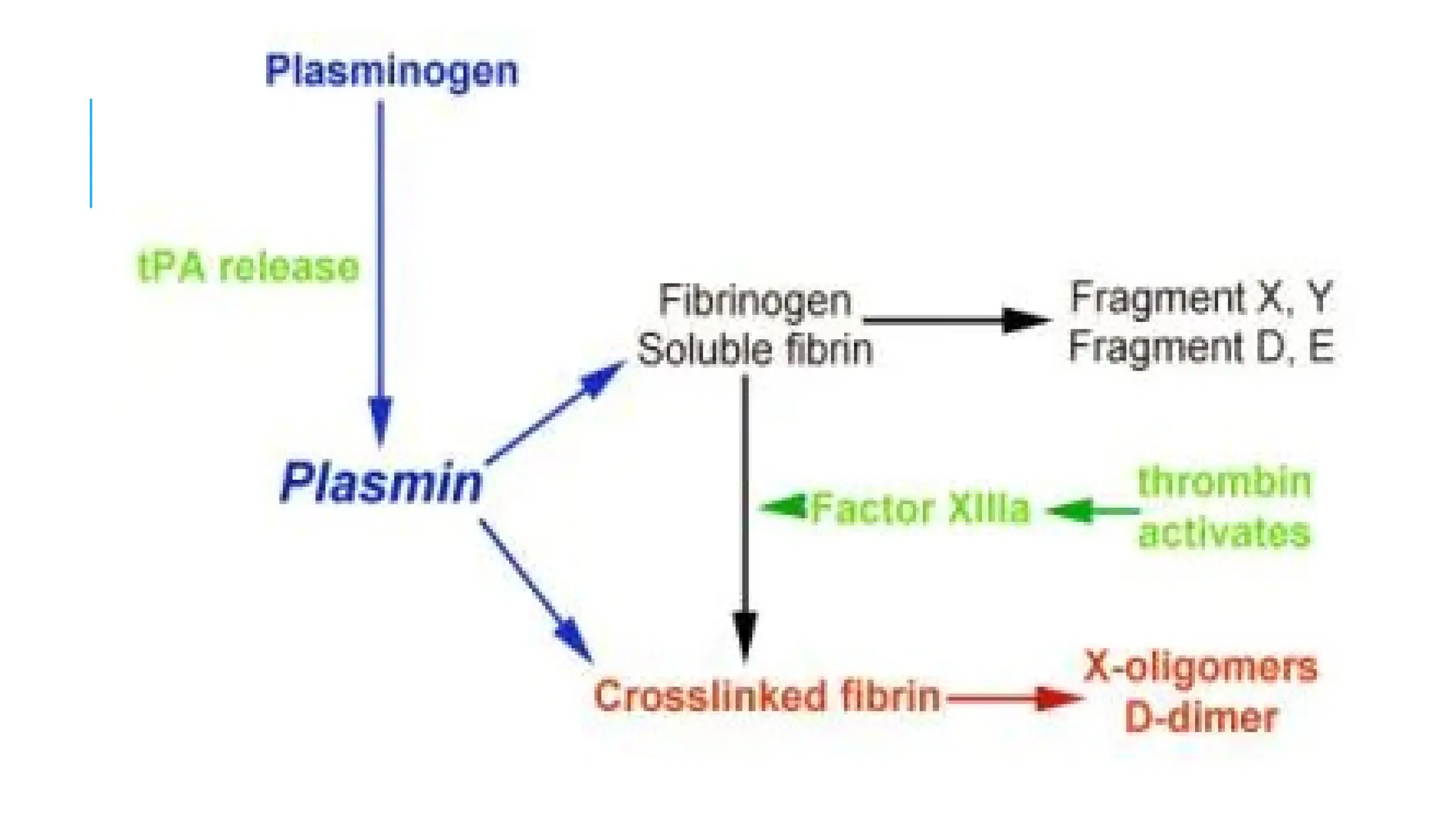 Tests for fibrinolysis .pptx