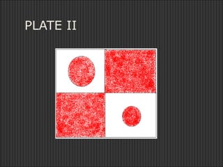 PLATE II
 