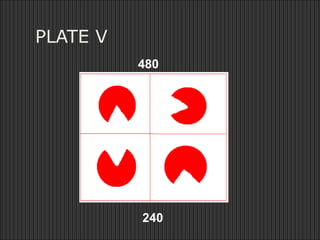 PLATE V
480
240
 