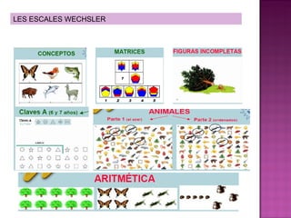 LES ESCALES WECHSLER 