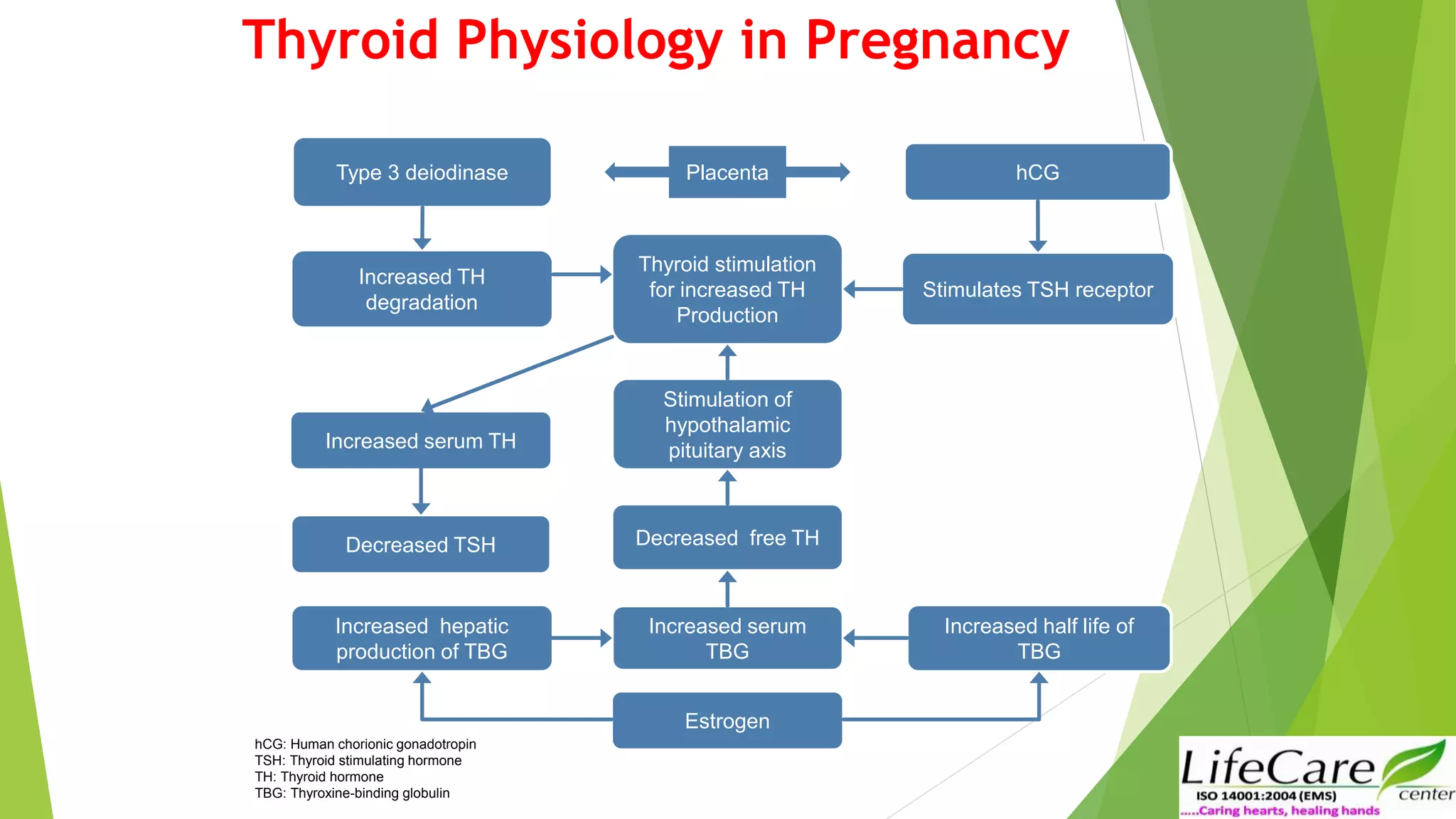Interpretation of Thyroid function tests in Pregnancy, Jyoti Bhaskar ...
