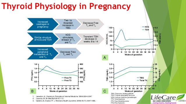 What is normal tsh in pregnancy