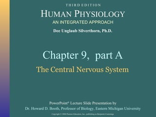 Chapter 9,  part A The Central Nervous System 