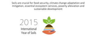 Soils are crucial for food security, climate change adaptation and
mitigation, essential ecosystem services, poverty alleviation and
sustainable development
 