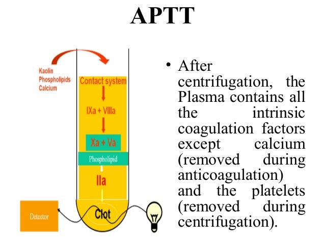 Why would your doctor order a PTT test?