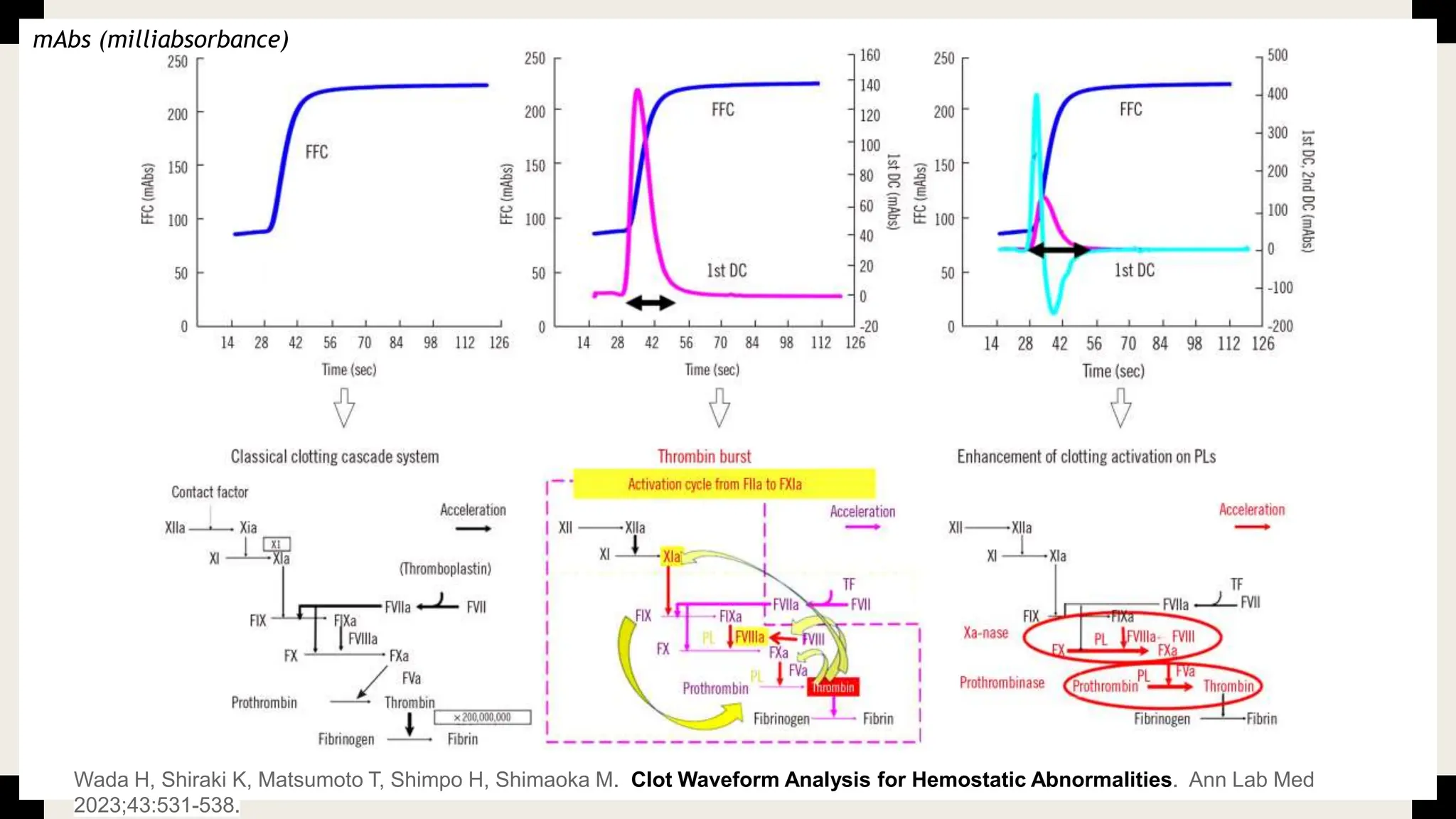 Wada H, Shiraki K, Matsumoto T, Shimpo H, Shimaoka M. Clot Waveform Analysis for Hemostatic Abnormalities. Ann Lab Med
2023;43:531-538.
mAbs (milliabsorbance)
 