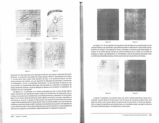 F1GUIA 9 FoJv. 1o
FoJv. 11
, ( , :: !~.
rr•l~!:.r {
di· --1
r..-;_--_, [
... .-r ' ?v ::1 't~ /
:'( f ¿. ~ ·/·. ~ Y. t ... #
--"'.,· -:,-' ·,..-r-.,,t ~
~
...{¡.·e ;<;.l -
.. '. f', .,.,, ; l· s;.:- f/&·
.:"'.
~
. ' ···•, - -t ;;,
. ;. · ·vi·
.;: • 1 • 1 ·~ 1' JI !>_·J •
~ ., :f1¡:1. ,1Jt¡f 1i-1-'t .
-· !"" ;f" '- ·¡ :'{11r ~
~ ~ (· ~ 1 ¡ l,.;d~ ~- f. '
• l: . ~q :' '/ · ~
. • ~ ' ~ -, _.{.¡ r
l ¡,·.;,.,.•, 't".
_!J} •.f ' ·
c,¡t::J'• ..
FG.llA 12
disposición de tinte paranoide como respuesta al estímulo que sugiere condiciones de tensión
ambiental. La implicación que poseen las orejas paradas, alertas e hipervigilantes de la figura
11. Si este último fuera nuestro único elemento de juicio, no lo podríamos deducir. De este
modo poseemos dos retratos; uno que representa la respuesta del examinado a co~diciones
"no estresantes" y el otro, a condiciones "estresantes". Lo que demuestra la latencia en que
se encuentran los componentes paranoides del examinado es, justamente, la integración de
ambas tendencias reactivas, ya que la patología no aparece en la condición "no estresante". se
manifiesta sólo en la "estresante".
Las figuras 13 y 14 pertenecen a un hombre encarcelado por robo a mano armada. Bajo la
presión del estímulo que representa la tensión cedieron los sentimientos de '.nadecuación que en
el dibujo de una persona se ocultaban bajo una fachada jactanciosa Yaparecieron ~ pnmer plano
(figura 14). En el último dibujo las piemaS se vuelven débiles y enclenques, losbrazos, inservibles Yla
cara ridícula; en conjunto, lo opuesto a la figura anterior que aparecia compensatoriamen~ e ~
y capaz (nótense especialmente los largos brazos). Esto nos permite predecir que en las situacioneS
cotidianas el examinado tiende a utilizarmaniobras compensatorias para aparecer más adaptado de
1o que realmente se siente. Pero puede conjeturarse que cuando la situación se vuelve estresante se
desmorona su apariencia compensatoria ydeja al descubierto la inadaptación subyacente.
284 EMANUEL F. HAMMER
Ñ:ll1A 13 Rruv.14
Las figuras 15 y 16 son ejemplos de respuestas al test del dibujo de una persona bajo la lluvia
correspondientes a otro examinado cuyas defensas también se desmoronan cuando debe soportar
tensiones. En la figura 15 e! paraguas se rompe o desintegray la persona queda desprotegida. En
la figura 16, el hombre está tan vencido por estimulo estresante que se "oMda" por completo del
paraguas y muestra, casi abiertamente, su vulnerabilidad y carencia de defensas adecuadas, frente
acondiciones ambientales adversas. Ambos examinados eran esquizofrénicos fronterizos.
-- ~--~ ,{/
.r. ( '
··;. ;._- ,,.
• t ' .
:i, i_!:/.-
•t., ~
FG.JRA 15 FIGUAA 16
La figura 17 pertenece a un hombre obeso que entró a terapia justamente a causa de su
obesidad. Cuando dibujó el hombre para el test del dibujo de una persona dejó el resto de la
página en blanco; pero cuando dibujó a la persona bajo la lluvia colocó un fondo que represen-
taba un negocio de golosinas; esto representaba sus necesidades orales, que bajo condiciones
de presión ambiental pasaron inmediatamente a primer plano.
17. DIVERSAS T~CNICAS PROYECTIVAS GRÁFICAS 285
 