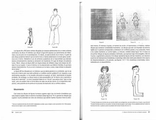 FIW1A BA FIGUIA88
Las figuras 8A y 88 fueron ambas dibujadas por jóvenes adolescentes de un metro ochenta
centímetros de altura. El individuo que dibujó la figura 8A expresa sus sentimientos de inferio·
ridad y los encubre con el autodesprecio. En efecto, se está burlando de sí mismo. A partir de
este dibujo podemos deducir que se siente tonto e intenta adelantarse a la burla ajena, burlán·
dose de si mismo. Mediante el uso de símbolos sustantivos de la masculinidad que denotan
deseos compensatorios, expresa su sensación de impotencia. En lugar de dibujar una persona
fuerte, "fálica", dibuja una figura débíl con bigote (deseo de virilidad) y larga nariz (deseo de virili·
dad). El yo-yo sugiere: 1) que el individuo no ha abandonado sus hábitos infantiles; 2) que tiene
deseos masturbatorios. Al yo-yo se lo manipula con la mano y sube y baja (nótese la ubicación
dela mano).·
La figura 88 fue dibujada por un individuo que se siente grande en su ambiente, que no se
burla de sí mismo pero que está sufriendo un conflicto común (¿edípico?) con respecto a sus
sentimientos sexuales. Lo ha resuelto reforzando el superyó, es decir, reprimiendo el impulso
prohibido. Sin embargo, su dibujo ilustra el clisé psicoanalítico de "el retomo de lo reprimido a
través de lo reprimido". La mano izquierda finaliza en un "círculo" que parece decir •aquí no hay
nada", pero es posible notar la forma fálica de cada una de las manos. En el tratamiento lera·
péutico, este paciente se encuentra en el proceso de resolución de su conflicto edípico.
Movimiento
Casi todos los dibujos de figuras humanas sugieren algún tipo de tensión kinestésica que
varía desde la rigidez hasta la extrema movilidad (véase figura 9). Por lo general los dibujos que
sugieren mucha actividad son obra de individuos que sienten fuertes impulsos hacia la activi·
• Este es un ejemplo de la ley de concreción desplazada, es decir, que un objeto o acto que posee una o máscaracte-
rfsticas de otro objeto o acto, puede representarlo.
8 8 SIDNEY LEVY
•·.
F!W1A9
dad motora. El individuo inquieto, el hombre de acción, el hipermaníaco, el histérico, realizan
dibujos que contienen considerable movimiento. Los dibujos que dan una impresión de extrema
rigidez por lo general corresponden a individuos con conflictos graves y muy profundos, frente
a los cuales mantienen un control rígido y, a menudo, endeble (véase figura 10)."-A veces se
encuentran dibujos de figuras sentadas o reclinadas, que expresan bajo nivel energético, falta de
impulso o agotamiento personal. Si el dibujo representa figuras del tipo mecánico, con absoluta
ausencia de implicaciones kinestésicas, el psicólogo debe estar alerta para detectarotros signos
de despersonalización y de psicosis. Las figuras 11A Y 118, mecánicas e inanimadas, fueron
realizadas por un esquizofrénico.
FIWIA 1tA FIWIA 118
• Humpty Dumpty es el nombre de una canción nfanbt cuyo protaganista. que asl se llama. es un huevo, y que cfice asl:
"Humpty Dumpty se sentó 1!11 una pared, Humpty Dumptyse pegó un gran golpe I Ni los cabat!eros del rey ni todos los
hombres del reino I pu<fieron juntar los pedazos de Humpty Dumpty otra vez. (T.)
4. DIBUJO PROYECTIVO DE LA FIGURA HUMANA 89
 