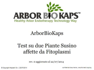 Test su piante susino affette da fitoplasmi 