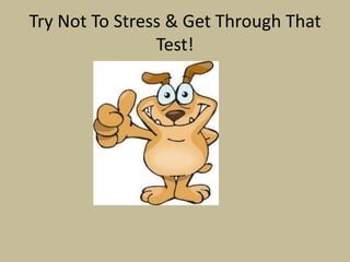Try Not To Stress & Get Through That Test!