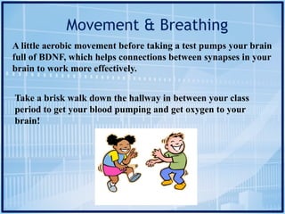 Movement & Breathing
A little aerobic movement before taking a test pumps your brain
full of BDNF, which helps connections between synapses in your
brain to work more effectively.
Take a brisk walk down the hallway in between your class
period to get your blood pumping and get oxygen to your
brain!
 