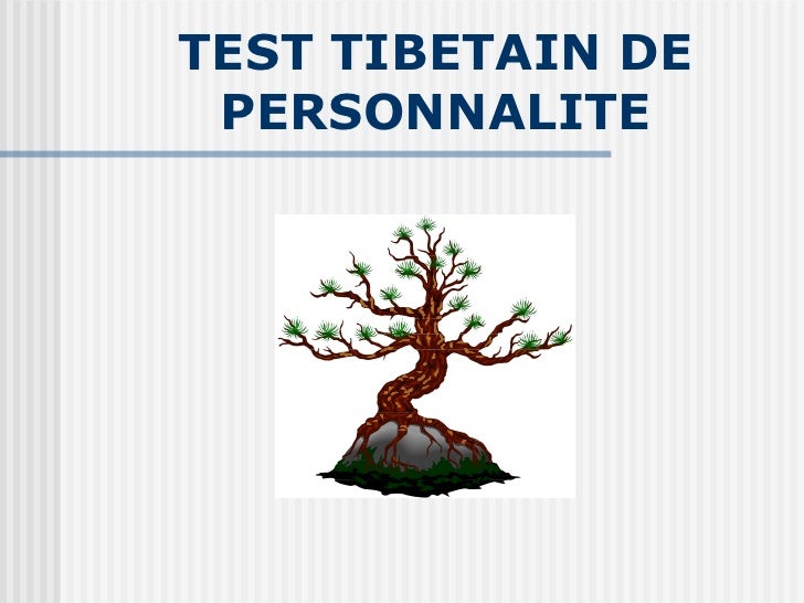 Test Tibetain De Personnalite 1