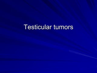 Testicular tumors
 