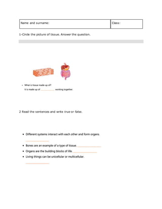 Name and surname: Class:
1-Circle the picture of tissue. Answer the question.
2 Read the sentences and write true or false.
 