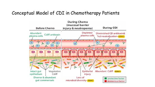 Clostridioides difficile pathogenesis.pptx