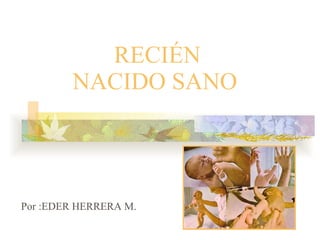RECIÉN NACIDO SANO   Por :EDER HERRERA M. 