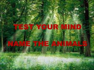 TEST YOUR MIND

NAME THE ANIMALS
 