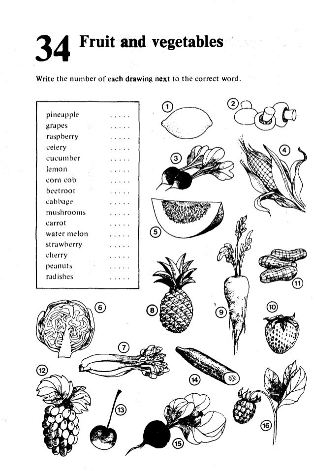 test your vocabulary 2 pdf