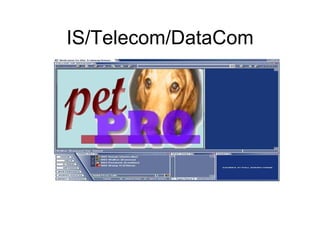 IS/Telecom/DataCom 