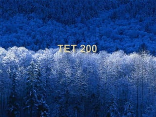 TET 200 