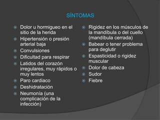 SÍNTOMAS
 Dolor u hormigueo en el
sitio de la herida
 Hipertensión o presión
arterial baja
 Convulsiones
 Dificultad para respirar
 Latidos del corazón
irregulares, muy rápidos o
muy lentos
 Paro cardiaco
 Deshidratación
 Neumonía (una
complicación de la
infección)
 Rigidez en los músculos de
la mandíbula o del cuello
(mandíbula cerrada)
 Babear o tener problema
para deglutir
 Espasticidad o rigidez
muscular
 Dolor de cabeza
 Sudor
 Fiebre
 