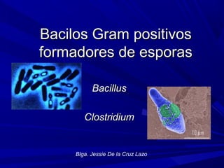 Bacilos Gram positivosBacilos Gram positivos
formadores de esporasformadores de esporas
BacillusBacillus
ClostridiumClostridium
Blga. Jessie De la Cruz Lazo
 
