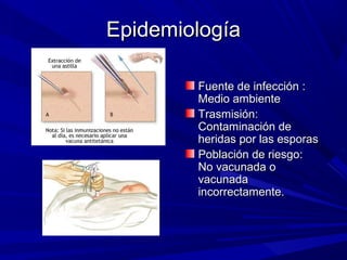 EpidemiologíaEpidemiología
Fuente de infección :Fuente de infección :
Medio ambienteMedio ambiente
Trasmisión:Trasmisión:
Contaminación deContaminación de
heridas por las esporasheridas por las esporas
Población de riesgo:Población de riesgo:
No vacunada oNo vacunada o
vacunadavacunada
incorrectamente.incorrectamente.
 