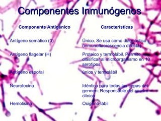 Componentes InmunógenosComponentes Inmunógenos
Componente Antigénico Características
Antígeno somático (0) Único. Se usa como diagnóstico
(inmunofluorescencia directa)
Antígeno flagelar (H) Proteico y termolábil. Permite
clasificar al microorganismo en 10
serotipos
Antígeno esporal único y termolábil
Neurotoxina Idéntica para todas las cepas del
germen. Responsable del cuadro
clínico
Hemolisina Oxigeno-lábil
 