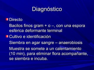 DiagnósticoDiagnóstico
DirectoDirecto
Bacilos finos gram + o –, con una esporaBacilos finos gram + o –, con una espora
esférica deformante terminalesférica deformante terminal
Cultivo e identificaciónCultivo e identificación
Siembra en agar sangre – anaerobiosisSiembra en agar sangre – anaerobiosis
Muestra se somete a un calentamientoMuestra se somete a un calentamiento
(10 min), para eliminar flora acompañante,(10 min), para eliminar flora acompañante,
se siembra e incuba.se siembra e incuba.
 
