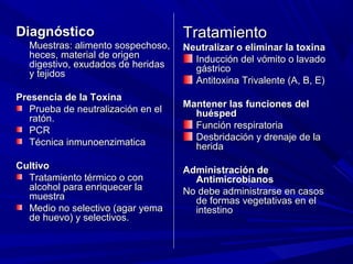 DiagnósticoDiagnóstico
Muestras: alimento sospechoso,Muestras: alimento sospechoso,
heces, material de origenheces, material de origen
digestivo, exudados de heridasdigestivo, exudados de heridas
y tejidosy tejidos
Presencia de la ToxinaPresencia de la Toxina
Prueba de neutralización en elPrueba de neutralización en el
ratón.ratón.
PCRPCR
Técnica inmunoenzimaticaTécnica inmunoenzimatica
CultivoCultivo
Tratamiento térmico o conTratamiento térmico o con
alcohol para enriquecer laalcohol para enriquecer la
muestramuestra
Medio no selectivo (agar yemaMedio no selectivo (agar yema
de huevo) y selectivos.de huevo) y selectivos.
TratamientoTratamiento
Neutralizar o eliminar la toxinaNeutralizar o eliminar la toxina
Inducción del vómito o lavadoInducción del vómito o lavado
gástricogástrico
Antitoxina Trivalente (A, B, E)Antitoxina Trivalente (A, B, E)
Mantener las funciones delMantener las funciones del
huéspedhuésped
Función respiratoriaFunción respiratoria
Desbridación y drenaje de laDesbridación y drenaje de la
heridaherida
Administración deAdministración de
AntimicrobianosAntimicrobianos
No debe administrarse en casosNo debe administrarse en casos
de formas vegetativas en elde formas vegetativas en el
intestinointestino
 