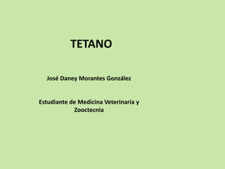 TETANO
José Daney Morantes González
Estudiante de Medicina Veterinaria y
Zooctecnia
 