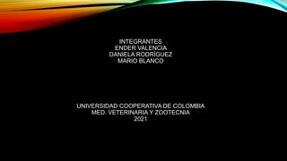 INTEGRANTES
ENDER VALENCIA
DANIELA RODRÍGUEZ
MARIO BLANCO
UNIVERSIDAD COOPERATIVA DE COLOMBIA
MED. VETERINARIA Y ZOOTECNIA
2021
 