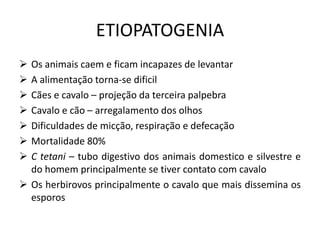 ETIOPATOGENIA
 Os animais caem e ficam incapazes de levantar
 A alimentação torna-se dificil
 Cães e cavalo – projeção da terceira palpebra
 Cavalo e cão – arregalamento dos olhos
 Dificuldades de micção, respiração e defecação
 Mortalidade 80%
 C tetani – tubo digestivo dos animais domestico e silvestre e
do homem principalmente se tiver contato com cavalo
 Os herbirovos principalmente o cavalo que mais dissemina os
esporos
 