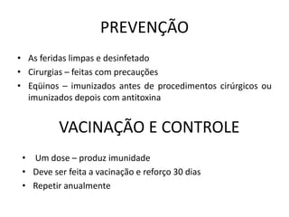 PREVENÇÃO
• As feridas limpas e desinfetado
• Cirurgias – feitas com precauções
• Eqüinos – imunizados antes de procedimentos cirúrgicos ou
imunizados depois com antitoxina
VACINAÇÃO E CONTROLE
• Um dose – produz imunidade
• Deve ser feita a vacinação e reforço 30 dias
• Repetir anualmente
 