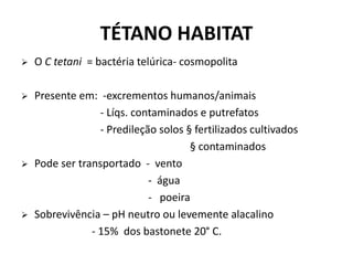  O C tetani = bactéria telúrica- cosmopolita
 Presente em: -excrementos humanos/animais
- Líqs. contaminados e putrefatos
- Predileção solos § fertilizados cultivados
§ contaminados
 Pode ser transportado - vento
- água
- poeira
 Sobrevivência – pH neutro ou levemente alacalino
- 15% dos bastonete 20° C.
TÉTANO HABITAT
 