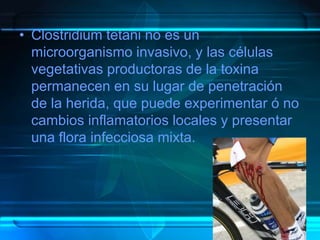 • Clostridium tetani no es un
microorganismo invasivo, y las células
vegetativas productoras de la toxina
permanecen en su lugar de penetración
de la herida, que puede experimentar ó no
cambios inflamatorios locales y presentar
una flora infecciosa mixta.
 
