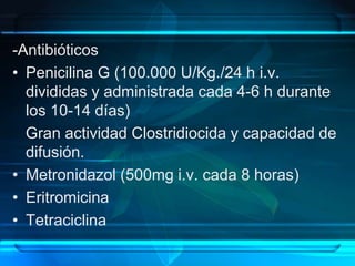 -Antibióticos
• Penicilina G (100.000 U/Kg./24 h i.v.
divididas y administrada cada 4-6 h durante
los 10-14 días)
Gran actividad Clostridiocida y capacidad de
difusión.
• Metronidazol (500mg i.v. cada 8 horas)
• Eritromicina
• Tetraciclina
 
