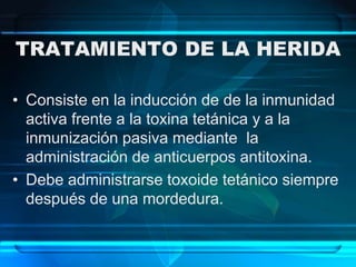 TRATAMIENTO DE LA HERIDA
• Consiste en la inducción de de la inmunidad
activa frente a la toxina tetánica y a la
inmunización pasiva mediante la
administración de anticuerpos antitoxina.
• Debe administrarse toxoide tetánico siempre
después de una mordedura.
 