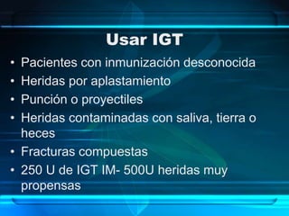 Usar IGT
• Pacientes con inmunización desconocida
• Heridas por aplastamiento
• Punción o proyectiles
• Heridas contaminadas con saliva, tierra o
heces
• Fracturas compuestas
• 250 U de IGT IM- 500U heridas muy
propensas
 